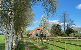 B&B Vinkeling